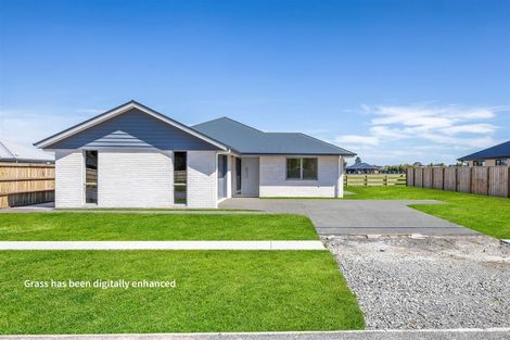 Photo of property in 34 Plover Avenue, Amberley, 7410