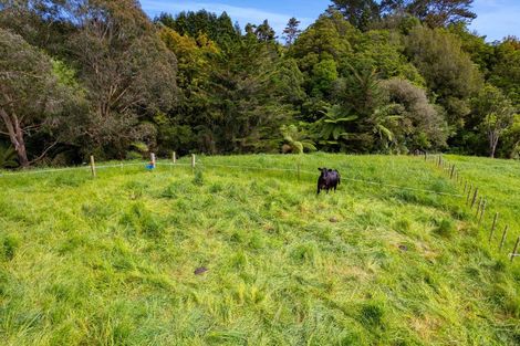 Photo of property in 275 Henwood Road, Paraite, New Plymouth, 4372