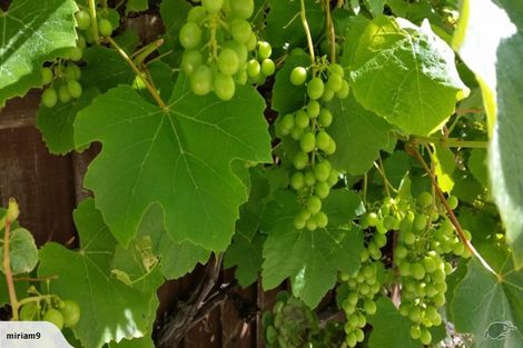 Photo of property in 50 Rocking Horse Road, Southshore, Christchurch, 8062