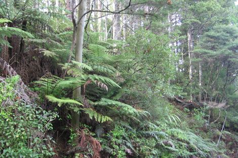 Photo of property in 16 Manuka Road, Titirangi, Auckland, 0604