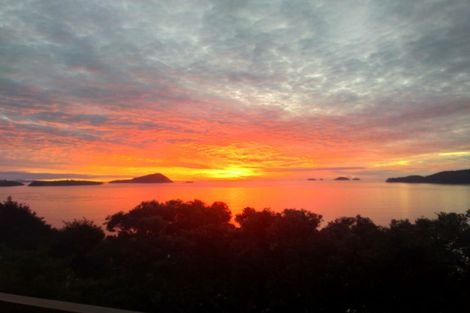 Photo of property in 1410 Wyuna Bay Road, Wyuna Bay, Coromandel, 3581