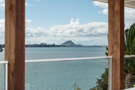 Photo of property in 51 Vine Avenue, Maungatapu, Tauranga, 3112