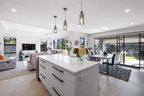 Photo of property in 23 Sycamore Grove, Lower Vogeltown, New Plymouth, 4310