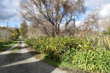 Photo of property in 337 Postman Road, Dairy Flat, Albany, 0794