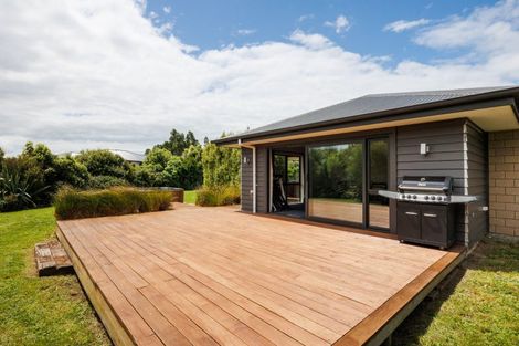 Photo of property in 19 Whio Avenue, Feilding, 4775