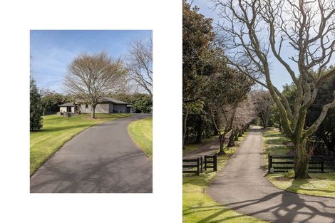 Photo of property in 96c Ainsworth Road, Minden, Tauranga, 3179