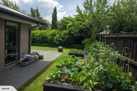 Photo of property in 10a Bainton Street, Bishopdale, Christchurch, 8053