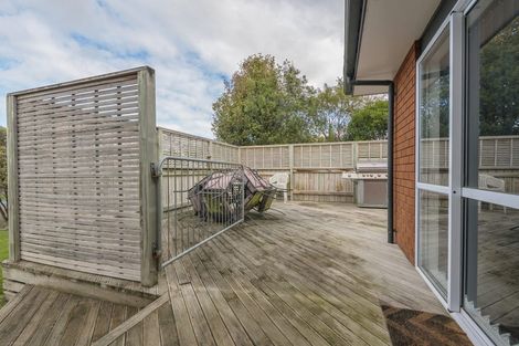 Photo of property in 42 Caroline Drive, Feilding, 4702