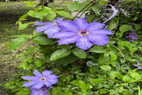 Photo of property in 449 Kauaeranga Valley Road, Thames, 3577