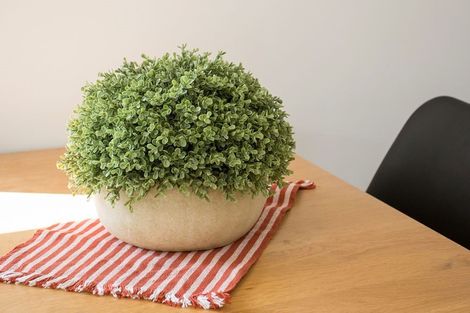 Photo of property in 3/186 Salisbury Street, Christchurch Central, Christchurch, 8013