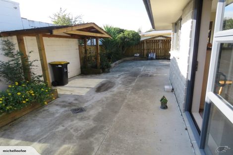 Photo of property in 115a Denbigh Street, Feilding, 4702