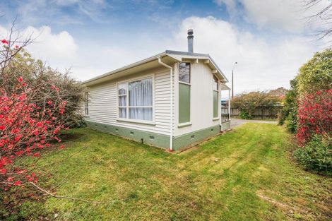 Photo of property in 48 North Street, Feilding, 4702