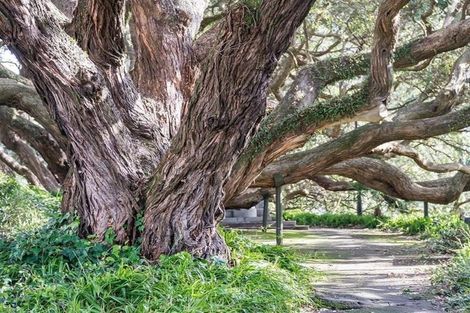 Photo of property in Argent Hall Apartments, C/2 Eden Crescent, Auckland Central, Auckland, 1010