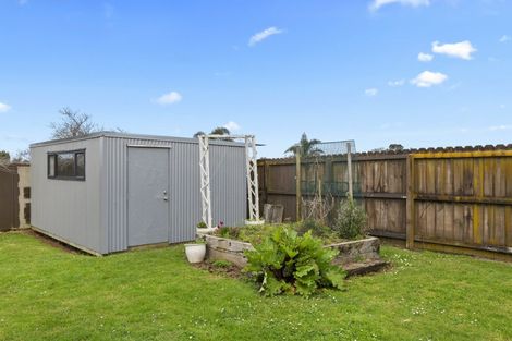 Photo of property in 18 Russell Avenue, Pukekohe, 2120
