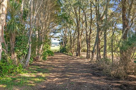 Photo of property in 2640 South Head Road, South Head, Helensville, 0874