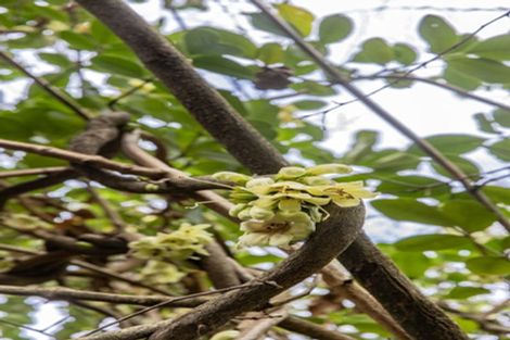 Photo of property in 670 Gore Bay Road, Gore Bay, Cheviot, 7383