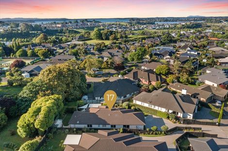 Photo of property in 17 Hansard Place, Bethlehem, Tauranga, 3110