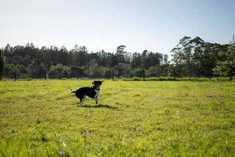 Photo of property in 14 Lone Gum Lane, Kerikeri, 0230