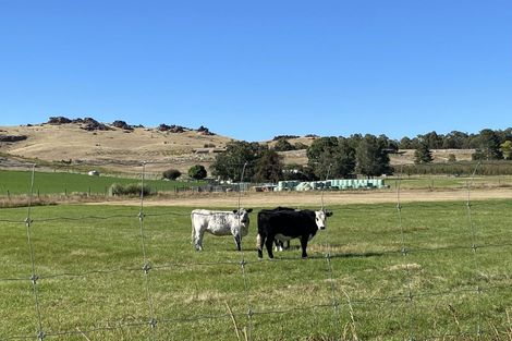 Photo of property in 272 Galloway Road, Galloway, Alexandra, 9393