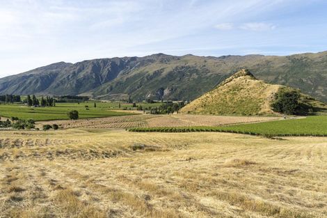 Photo of property in 55b Gibbston Back Road, Gibbston, Queenstown, 9371