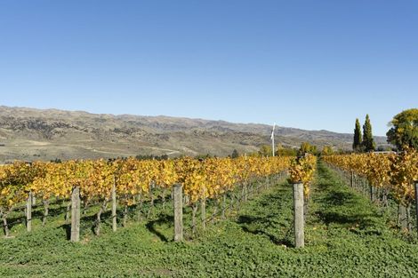 Photo of property in 1034 Luggate-cromwell Road, Mount Pisa, Cromwell, 9383