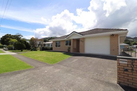 Photo of property in 208a Rolleston Street, Thames, 3500