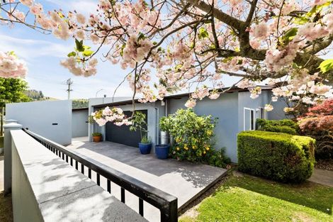 Photo of property in 207 Avenue Road, Greenmeadows, Napier, 4112