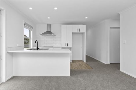 Photo of property in 1/45 Tranmere Road, Fairfield, Hamilton, 3214