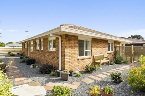 Photo of property in 49b Lotus Avenue, Mount Maunganui, 3116