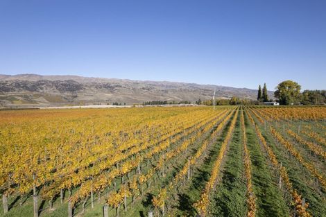 Photo of property in 1034 Luggate-cromwell Road, Mount Pisa, Cromwell, 9383