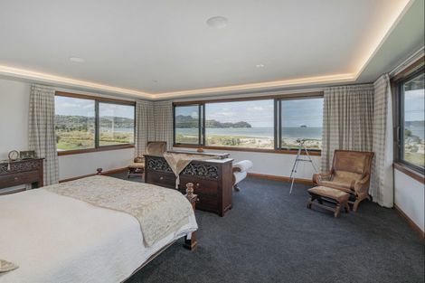 Photo of property in 77 Buffalo Beach Sh25 Road, Whitianga, 3510