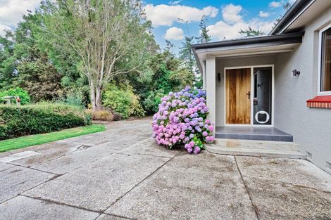 Photo of property in 687 Rakahouka Hedgehope Road, Mabel Bush, Invercargill, 9872