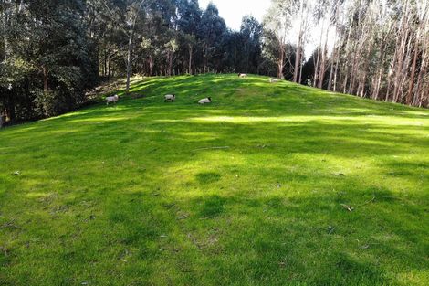 Photo of property in 74 Mick Dillon Road, Tahekeroa, Kaukapakapa, 0873