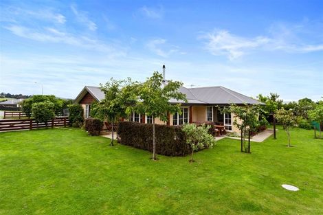 Photo of property in 15 Ormandy Court, Amberley, 7410