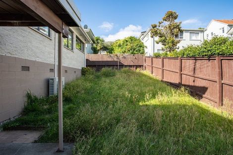 Photo of property in 2/2 Frost Road, Mount Roskill, Auckland, 1041