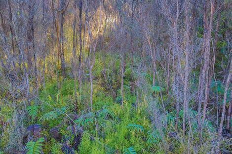 Photo of property in 38 Beechwater Drive, Arnold Valley, 7872