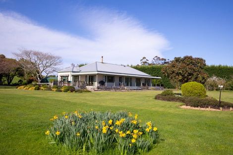 Photo of property in 521 Pohangina Road, Pohangina, Ashhurst, 4884