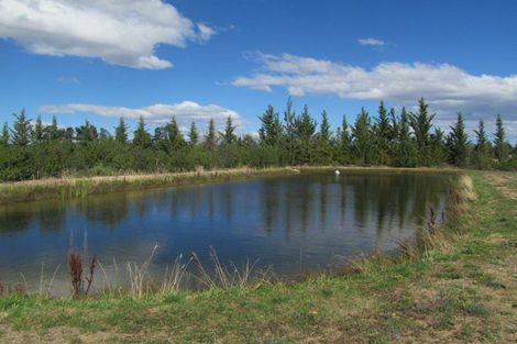 Photo of property in 442 Letts Gully Road, Letts Gully, Alexandra, 9393