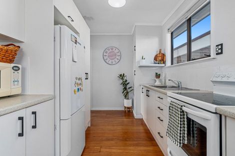 Photo of property in 19a Cook Street, Gate Pa, Tauranga, 3112