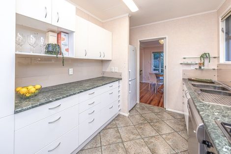 Photo of property in 17 Bristow Street, Saint Johns Hill, Whanganui, 4501