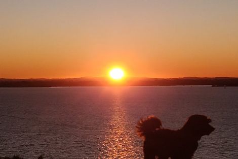 Photo of property in 724 Waikare Road, Waerenga, Te Kauwhata, 3781