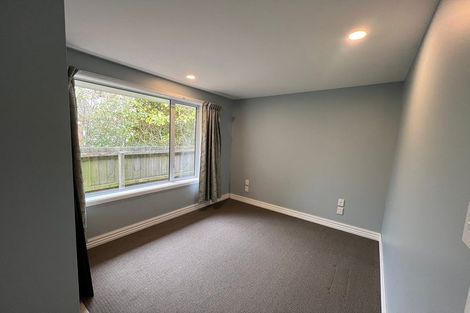 Photo of property in 46 Warren Crescent, Hillmorton, Christchurch, 8025