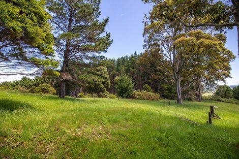 Photo of property in 425m Boat Harbour Road, Whenuakite, Whitianga, 3591