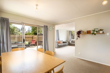 Photo of property in 119 Riversdale Drive, Merrilands, New Plymouth, 4312