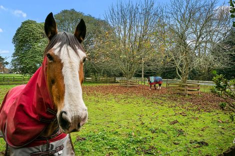 Photo of property in 145 Pickering Road, Tamahere, Cambridge, 3493