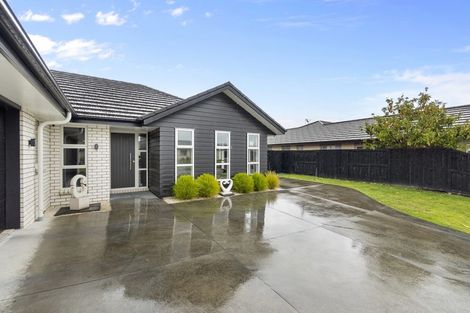 Photo of property in 9 Trauzer Place, Flagstaff, Hamilton, 3210