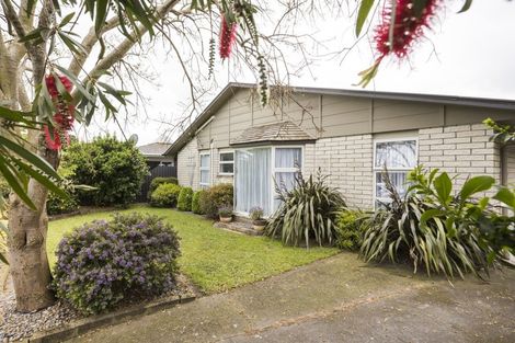 Photo of property in 57 Fairview Avenue, Feilding, 4702