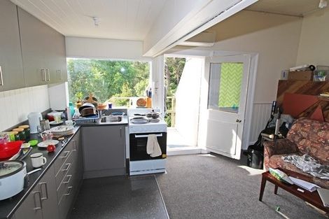 Photo of property in 59 Opoho Road, North East Valley, Dunedin, 9010