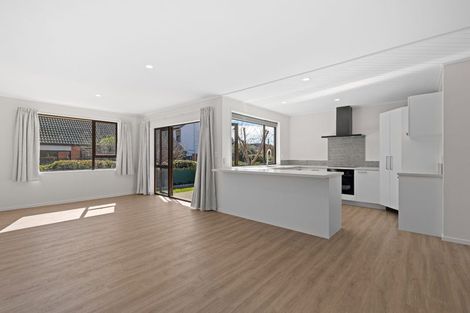 Photo of property in 223 Redwood Street, Witherlea, Blenheim, 7201