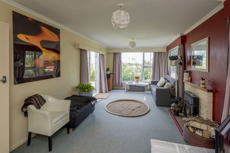 Photo of property in 91 Cd Farm Road, Levin, 5571